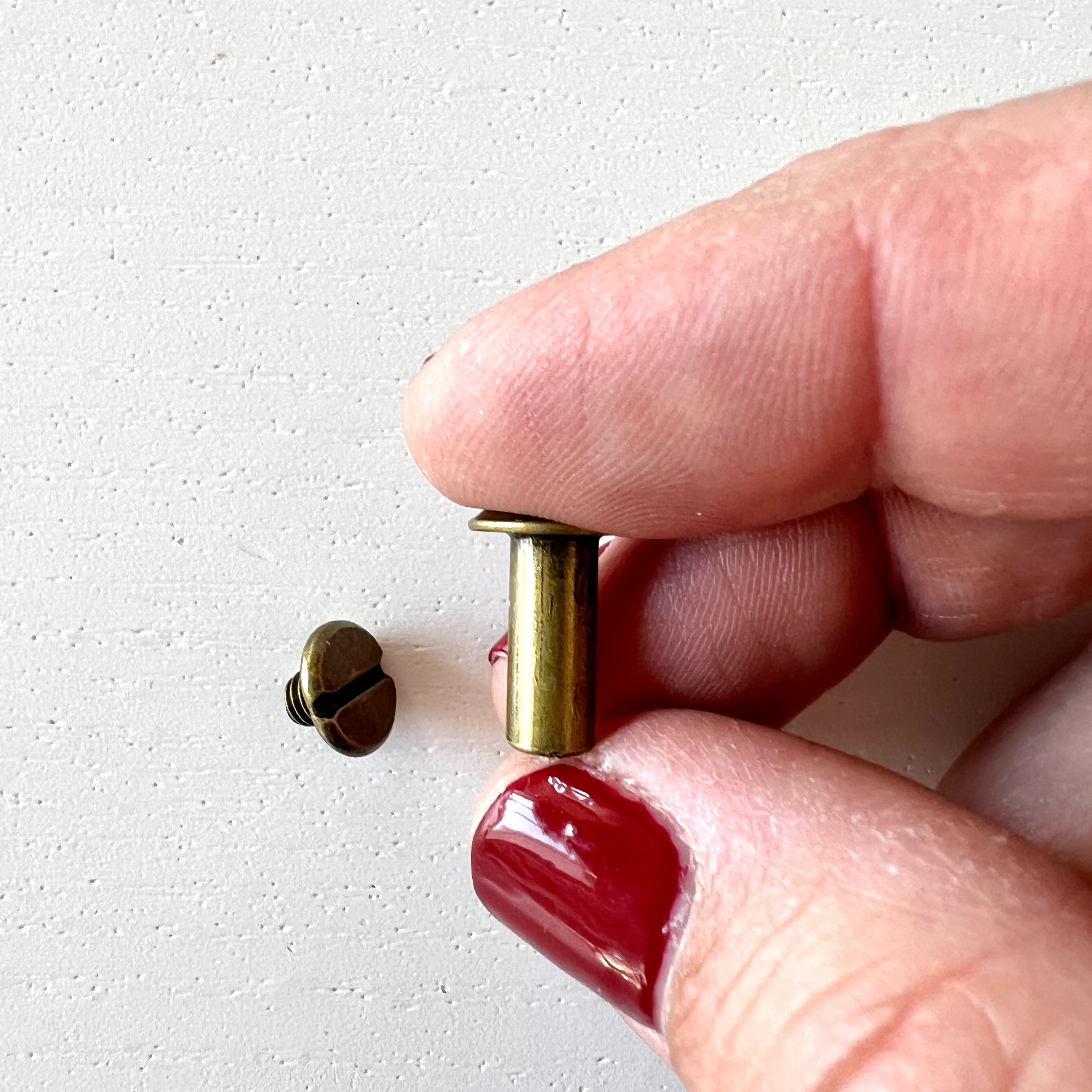 Chicago Bolts and Screws in Antique Brass - Image 4