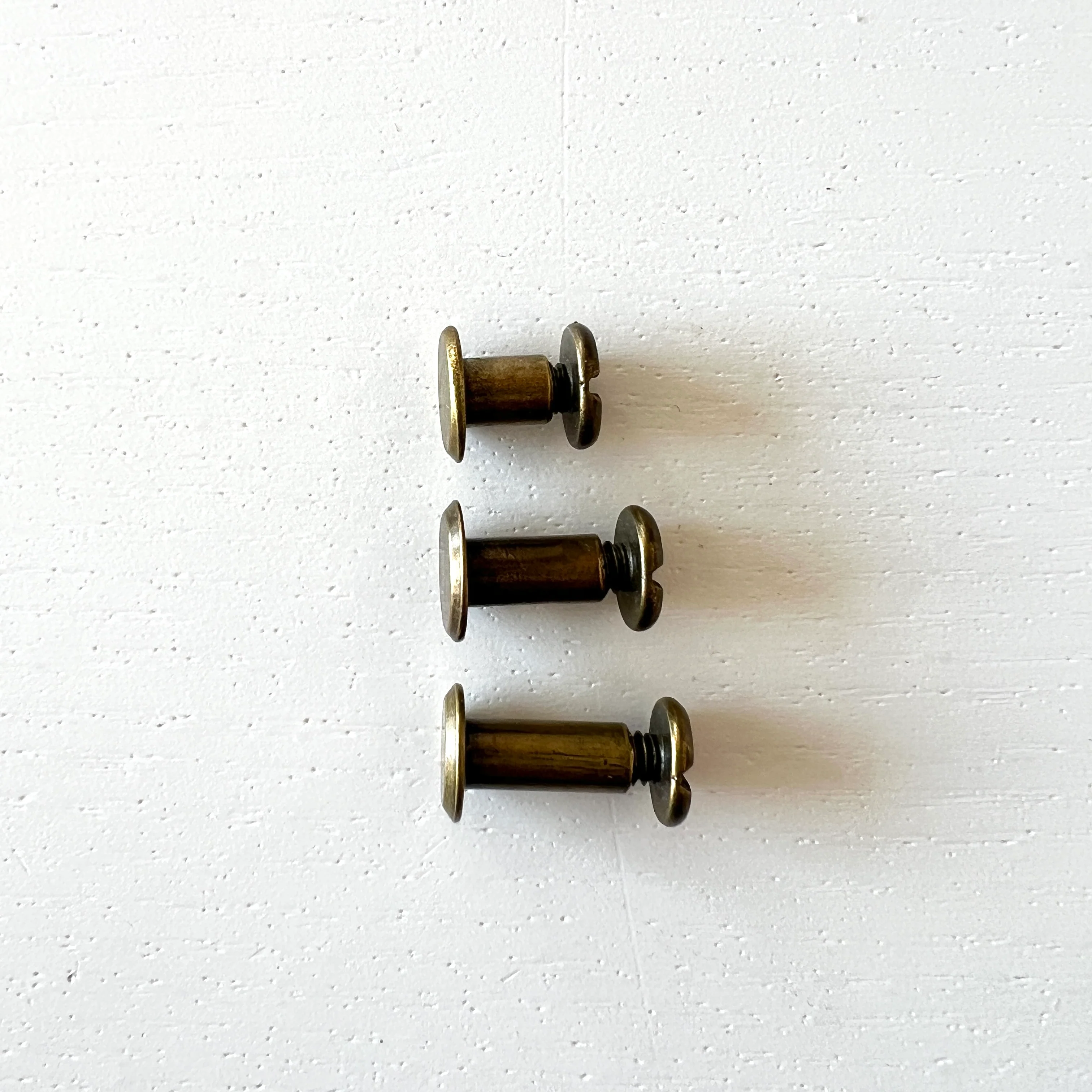 Chicago Bolts and Screws in Antique Brass - Image 5